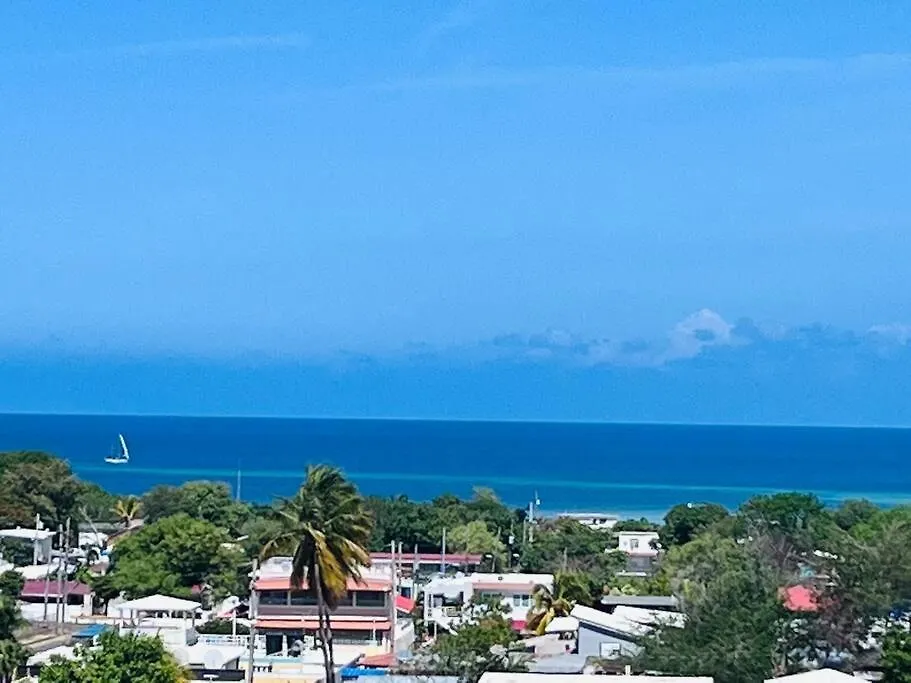 Near Combate Beach, El Poblado Boqueron And Restaurants El Combate Apartment